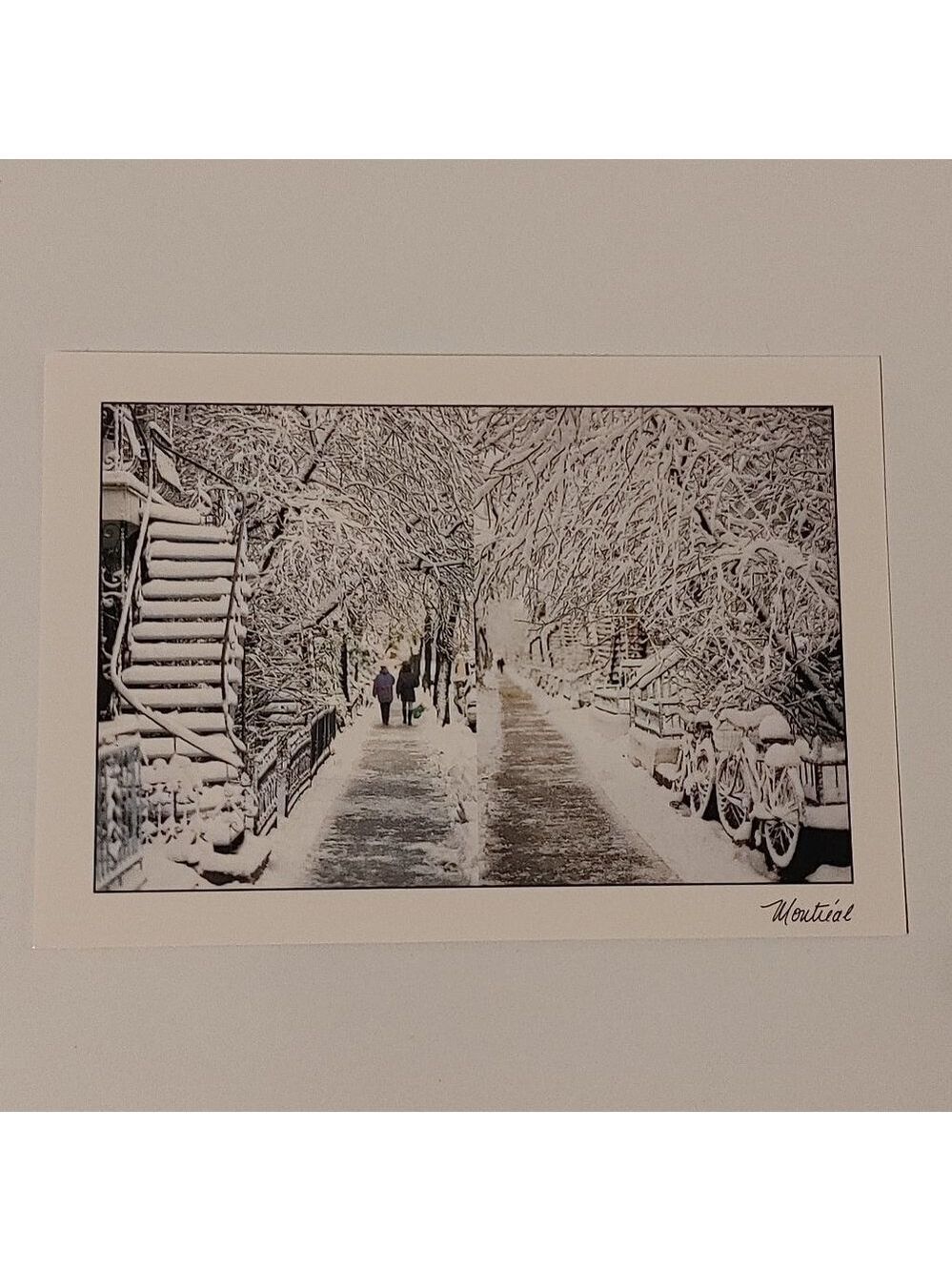 BEAUTIFUL MONTREAL City Postcard Michael Degray Rainy Day After The Snowstorm